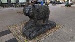 Schwarzer Bär