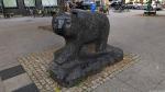 Schwarzer Bär