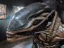 31.10.2024 - H.R. Giger - Beyond Alien, Mastio della Cittadella Torino