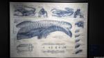 Alien III Blueprint (1996)