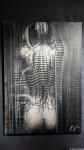 N.Y. City VI, Torso (1982)