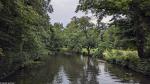 Bürgerpark