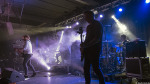 The Chameleons