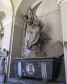 155.jpg