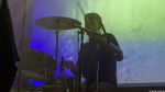 Golden Apes
