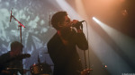 Golden Apes