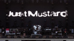 Just Mustard