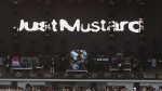 Just Mustard