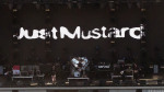 Just Mustard
