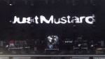 Just Mustard