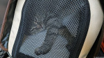 Katze im Zug / Cat on the train