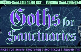 25.-28.09.2020: Goths for Sanctuaries Livestream
