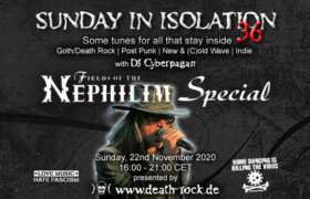 22.11.2020: Sunday in Isolation #36 Livestream