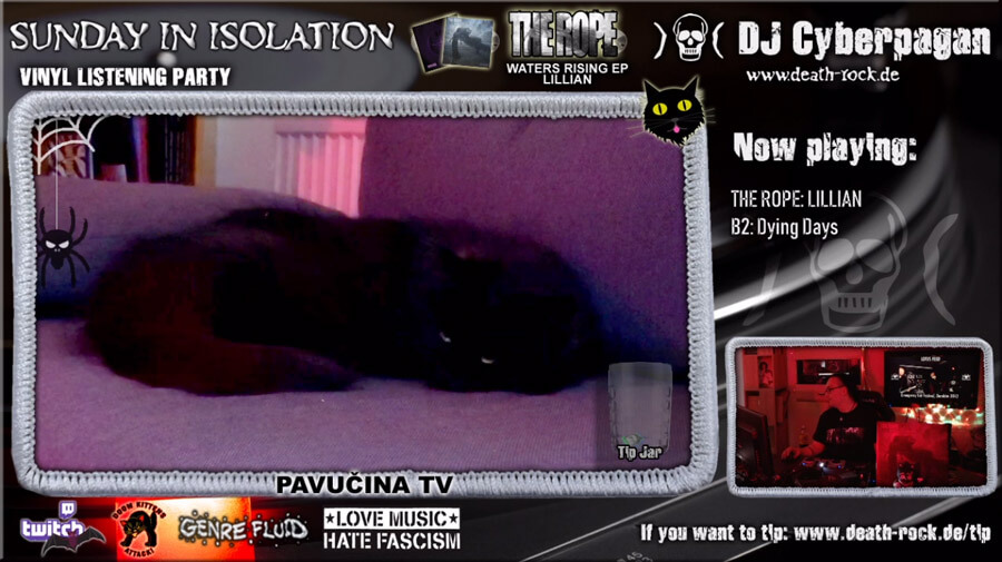 Sunday in Isolation #63 - 3