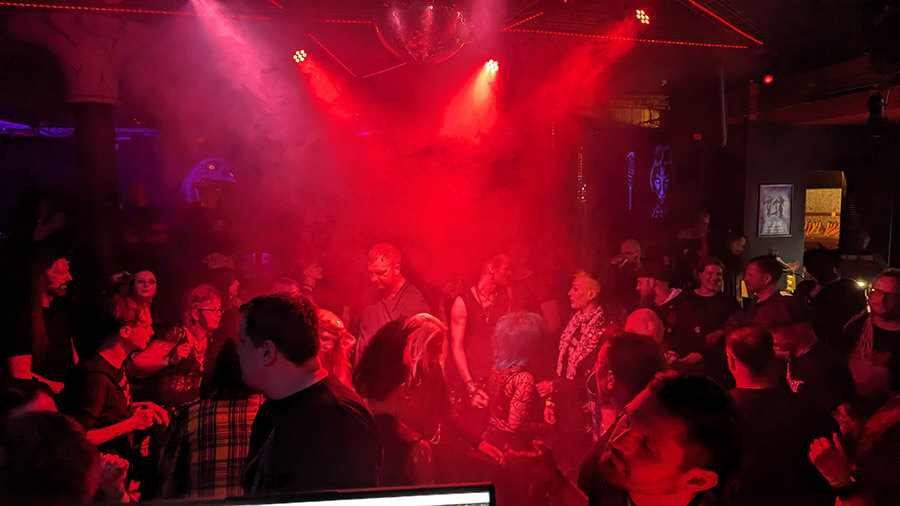 15.06.2024: The Night for Bats in Leipzig - 3