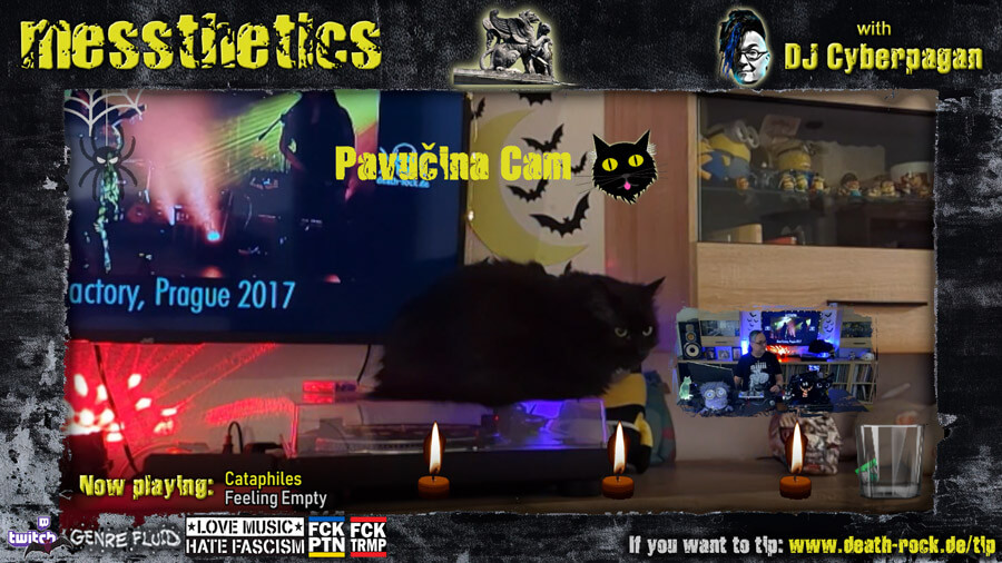 messthetics 23.01.2025 - 2