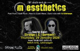 29.01.2026: messthetics Livestream