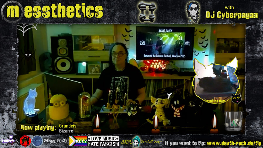 messthetics 12.02.2026 - 2